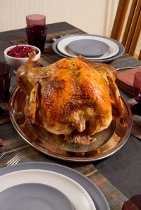 thanksgivingturkey